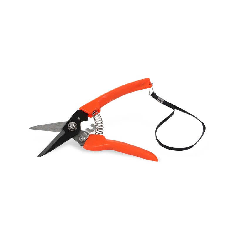 Tijera para podar 7" Major